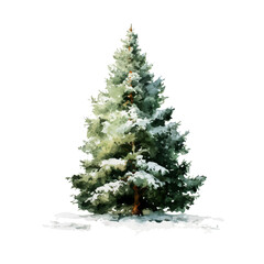 A watercolor painting of Christmas Tree, vector illustration on white background.