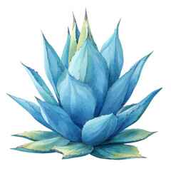 Blue Agave in watercolor style, vector illustration, isolated on white background.