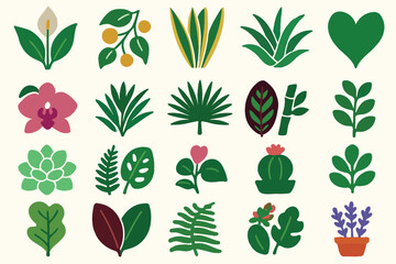 Colorful Botanical Plant Illustration Set with Succulents, Flowers, and Leaves