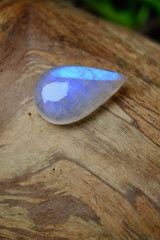 water drops on wood Moonstone gem specimen