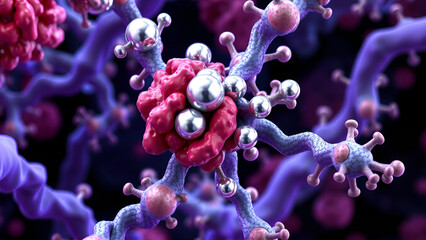 Beta-lactamase enzymes
Molecular diagrams of the metalloenzyme NDM-1:
- Zinc ions (silver spheres) in the active site
- Penicillin hydrolysis (bond-breaking animation)
