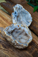 raw chicken breast Geode mineral specimen 