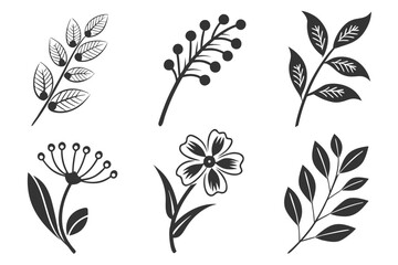 Fototapeta premium Collection of stylized botanical illustrations and floral elements.