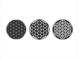 Flower of Life, sacred geometry, geometric pattern, spiritual symbol 