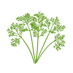 A Minimalistic 2D flat icon illustration of a dill bunch, clean vector design, simple illustration style, isolated on a white background, modern element in vector and EPS format.