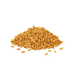 A Minimalistic 2D flat icon illustration of ground cumin, clean vector design, simple illustration style, isolated on a white background, modern element in vector and EPS format.