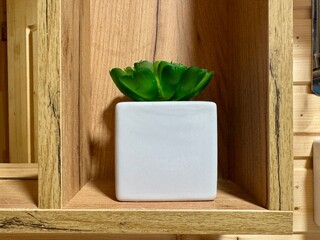artificial flower in a white pot in the interior. High quality photo