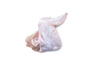 Fresh raw chiken wing isolated on white background 