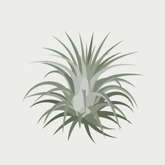 Stylized Green Plant with Long Pointed Leaves.