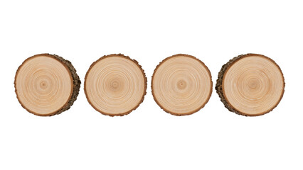 Arrangement of tree trunk cross sections with visible growth rings set on a transparent background