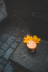 Eco-friendly paper coffee cup placed on a wet stone surface next to vibrant yellow autumn leaves,...