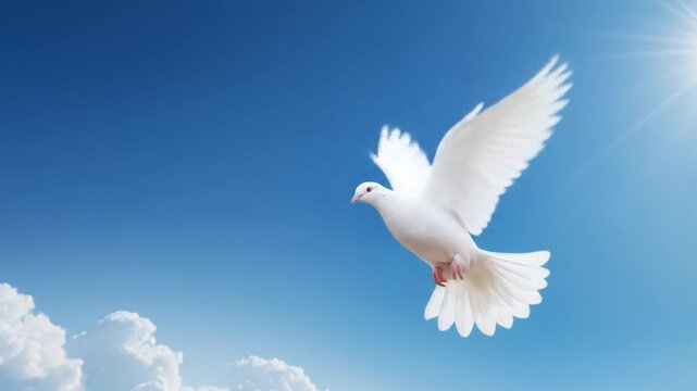 Symbolic white dove soars gracefully against a serene blue sky with soft clouds offering peace and