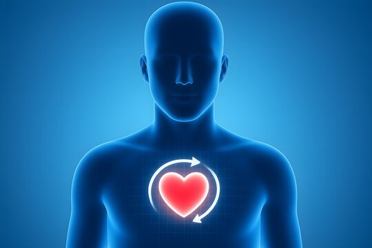 futuristic medical illustration of human torso with glowing red heart and arrows symbolizing world heart day, health awareness, prevention, and cardiology technology in a clean digital style - Powered by Adobe