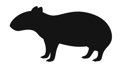 Fototapeta premium Cute agouti rodent vector art with natural color details