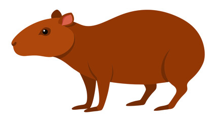 Fototapeta premium Detailed agouti mammal illustration for educational design