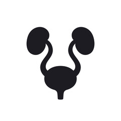 urinary system icon with bladder and kidneys on white