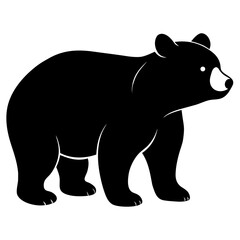 Grizzly bear on white background