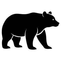 Grizzly bear on white background