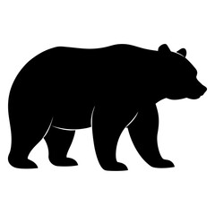 Grizzly bear on white background