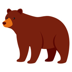 Grizzly bear on white background