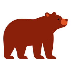 Grizzly bear on white background