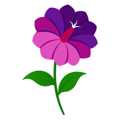 pink flower on white background