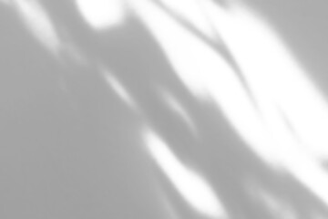 Naklejka premium Abstract natural tree branch leaves shadow on white wall background