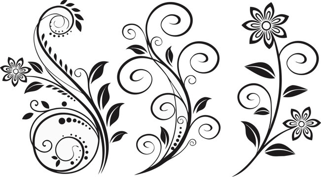 Ornamental design elements - a collection of ornate black and white floral vector elements. Each design should feature intricate swirls, curls, and botanical motifs such as leaves, vines, petals, and 