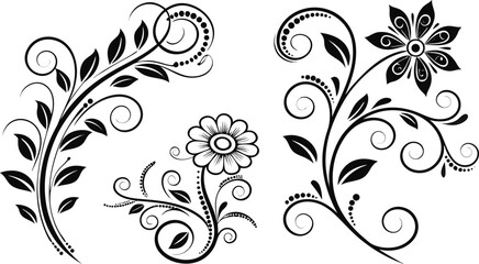 Obraz premium Ornamental design elements - a collection of ornate black and white floral vector elements. Each design should feature intricate swirls, curls, and botanical motifs such as leaves, vines, petals, and 
