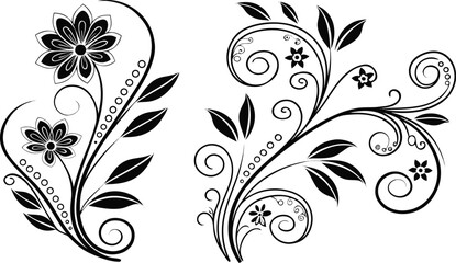 Obraz premium Ornamental design elements - a collection of ornate black and white floral vector elements. Each design should feature intricate swirls, curls, and botanical motifs such as leaves, vines, petals, and 