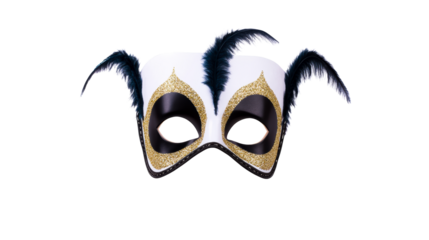 Decorative masquerade mask with feathers and gold accents