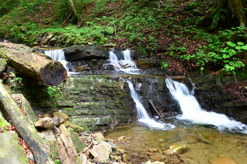 river Wisla at first here as a brook in Nature Reserve Wisla in Poland
