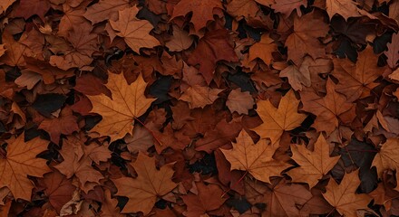 A textured background of colorful autumn leaves on the ground