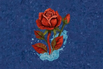  Red rose in blue liquid illustration