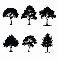 Fototapeta premium Diverse tree silhouettes with intricate branches and leafy canopies black white