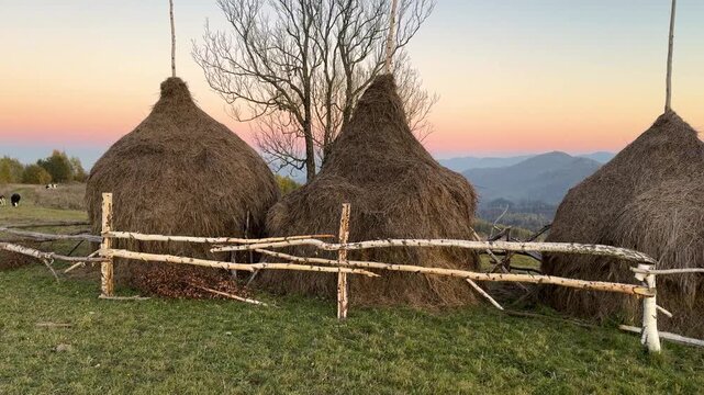 autumn, Carpathians, Ukraine. The Hutsul highlanders are engaged in traditional trades - agriculture and cattle breeding, they store hay in stacks for the winter