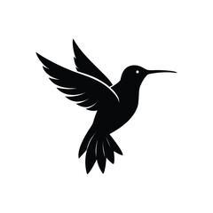 Obraz premium Elegant hummingbird silhouette captured in flight a graceful avian design isolated on white background