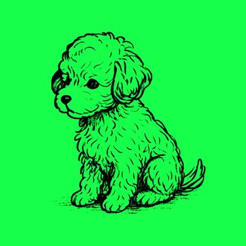 Cute puppy sketch animation, transparent 4K video, green screen