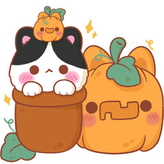 Black and white cat with 2 halloween pumpkins, halloween cartoon