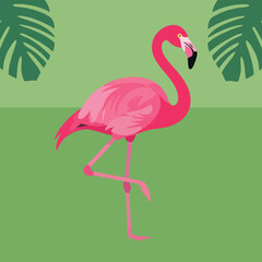 Fototapeta premium Pink Flamingo in Tropical Setting.