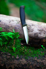 camping knife on a log in the forest