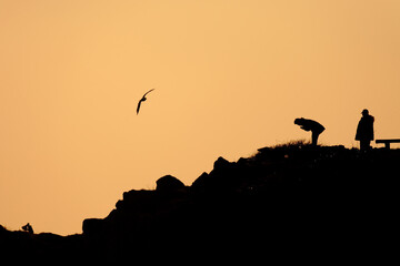 Morning scenery of Busan Orangdae, Busan, Korea