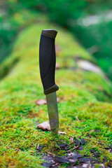 camping knife in a log covered with moss in the forest