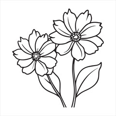 chocolate cosmos flower silhouette vector