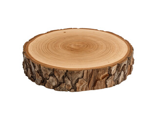 Isolated tree slice showcasing natural rings and rustic bark texture element