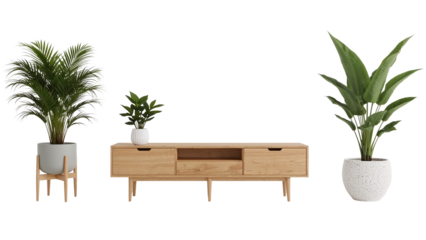 Stylish media console with potted plants creating a modern minimalist interior design accent on