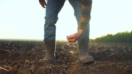 Farmer plants seeds in field. Close-up of farmer hand sowing soybean seeds. Farmer nurturing soybean field. Agricultural worker planting soybean crop. farming of soybean field. Farmer in field.