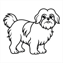 Cute shih Tzu dog cartoon outline