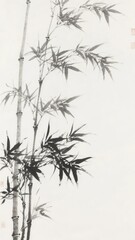 Obraz premium Monochrome Bamboo Stalks with Delicate Leaves