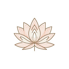 Elegant pink and white lotus flower illustration with intricate details on a clean background